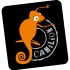 La Compagnie du Caméléon Logo